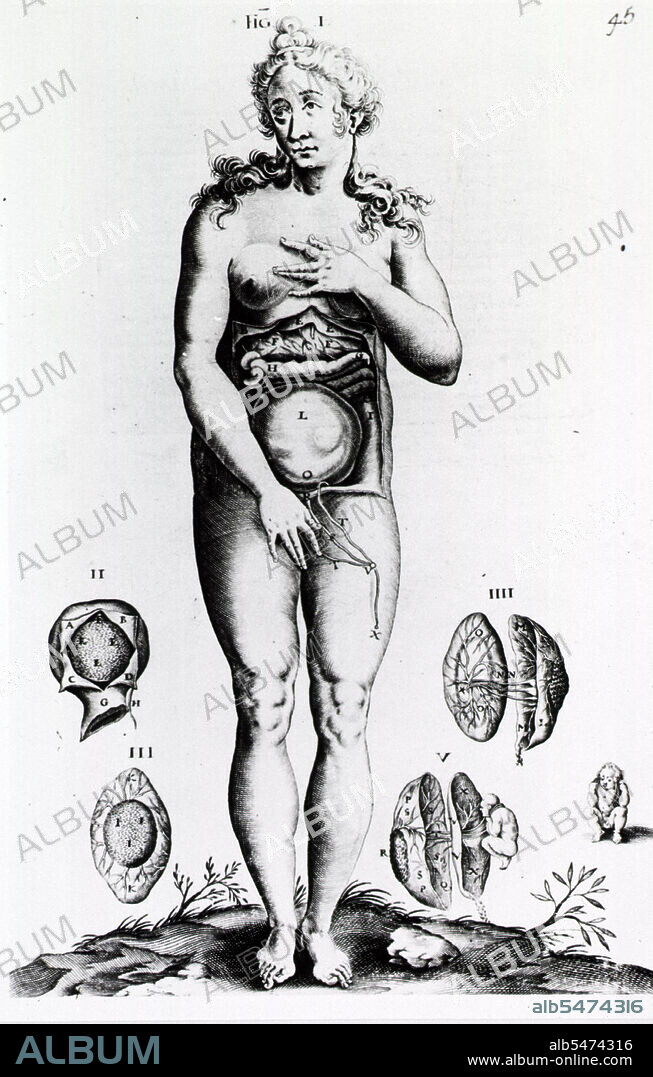 Obstetrics: Anatomy of female figure surrounded by vignettes of the uterus in cross-section Publication: Paris: , 1731.