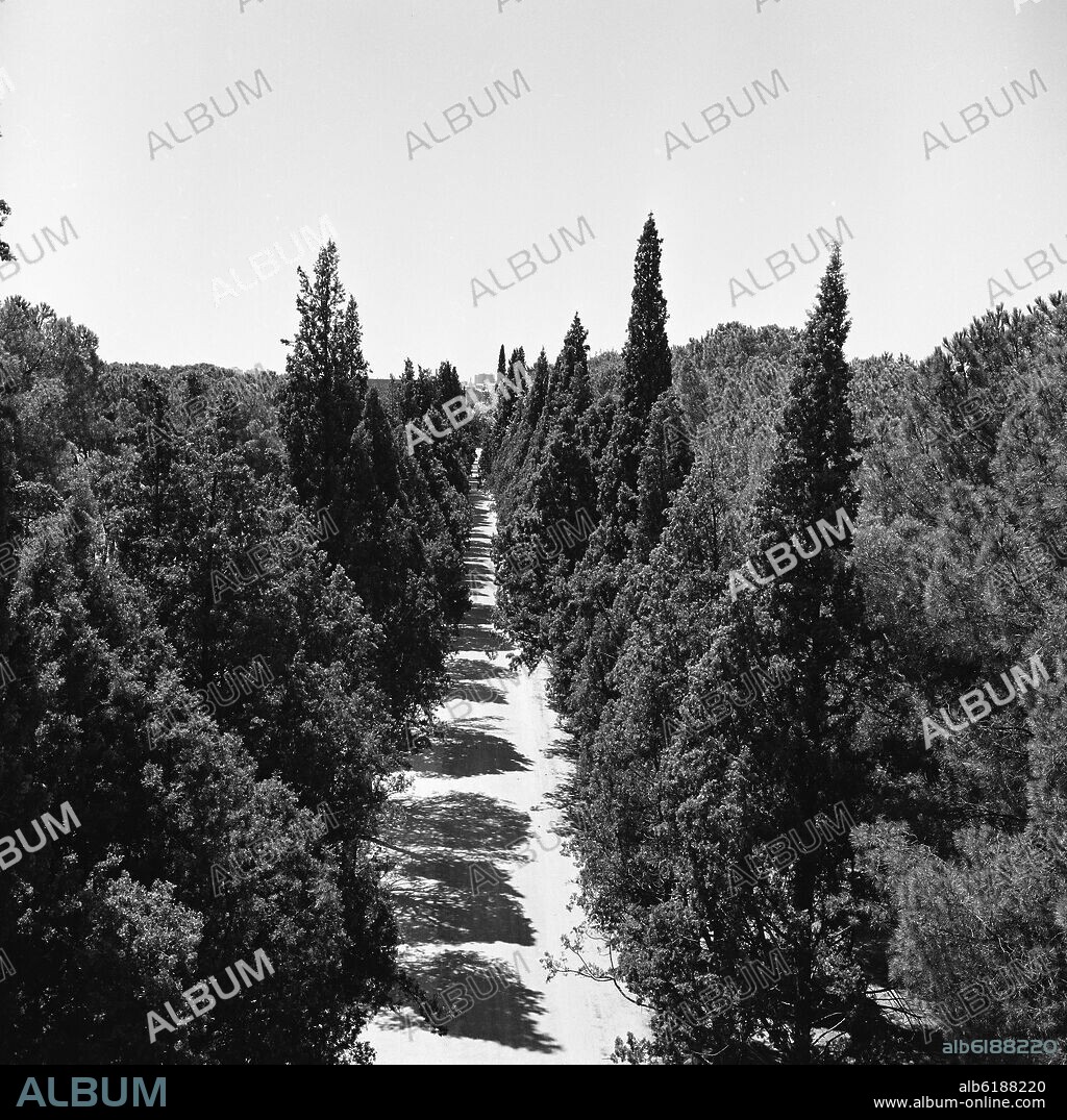 PASEO EN LA ALAMEDA DE OSUNA - FOTOGRAFIA EN BLANCO Y NEGRO - AÑOS 60.