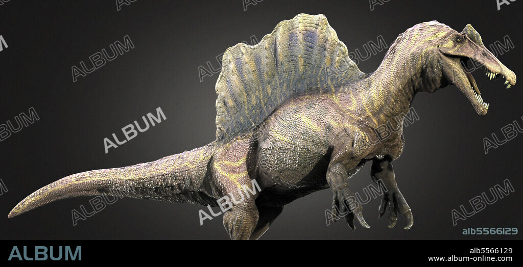 Spinosaurus dinosaur, side view.