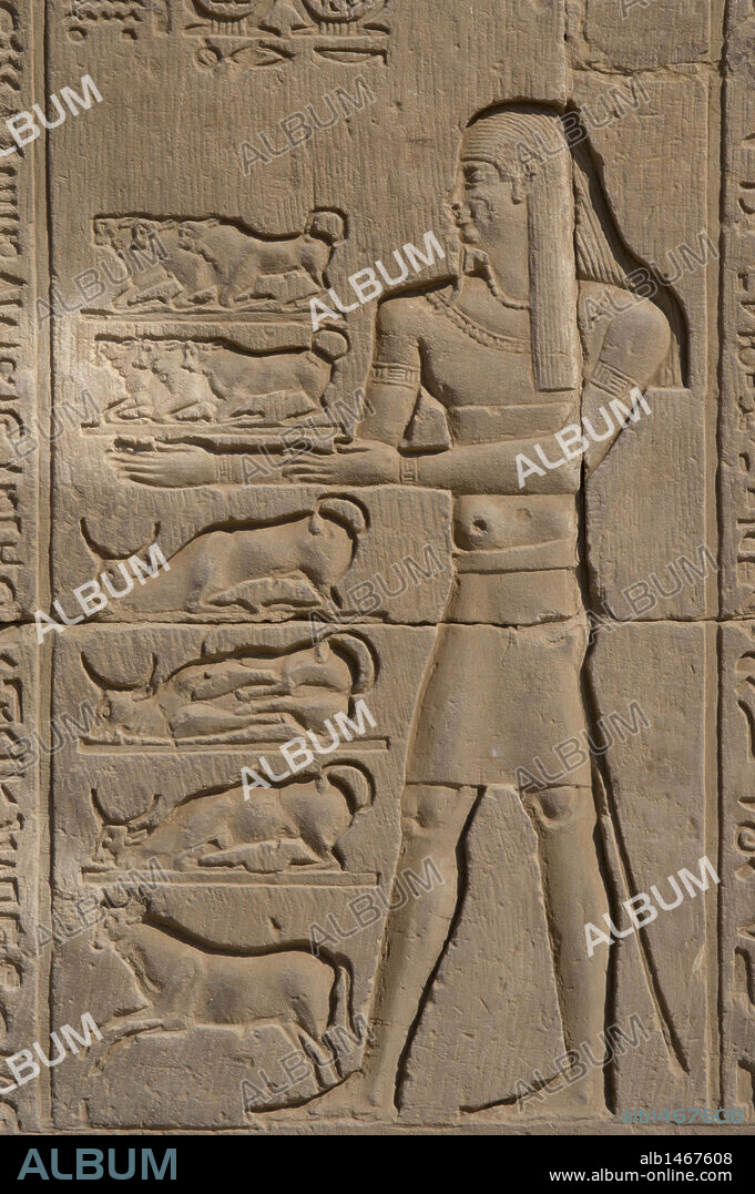 ARTE EGIPCIO. EGIPTO. KOM OMBO. TEMPLO DE SOBEK Y HAROERIS, de época ptolemaica o Láguida. Se inició su construcción en el siglo II a. C. Relieve con la representación de hombre realizando ofrendas a los dioses. Norte de Africa.
