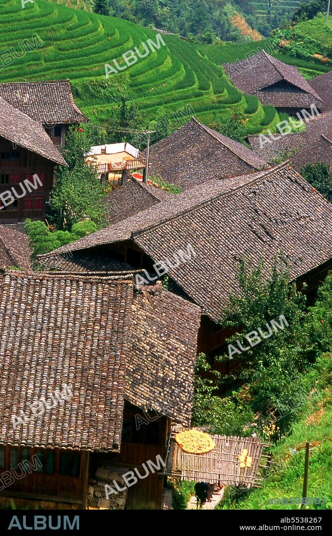 The Zhuang people (Chinese: ??; pinyin: Zhuàngzú; Zhuang: Bouxcuengh) are an ethnic group who mostly live in the Guangxi Zhuang Autonomous Region in southern China. Some also live in the Yunnan, Guangdong, Guizhou and Hunan provinces. They form one of the 55 minority ethnic groups officially recognized by the People's Republic of China. With the Buyi, Tay–Nùng, and other northern Tai speakers, they are sometimes known as the Rau or Rao. Their population, estimated at 18 million people, puts them second only to the Han Chinese and makes the Zhuang the largest minority in China. Longji (Dragon's Backbone) Terraced Rice Fields received their name because the rice terraces resemble a dragon's scales, while the summit of the mountain range looks like the backbone of the dragon. Visitors standing on the top of the mountain can see the dragon's backbone twisting off into the distance.