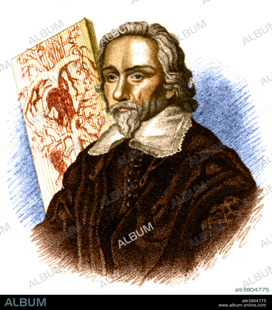 Color enhanced portrait of William Harvey (April 11, 1578 - June 3, 1657) an English physician. Harvey was the first person to accurately determine how the heart circulated blood throughout human and animal bodies and was also the first to posit the theory that humans and other mammals reproduced when an egg was fertilized by sperm.