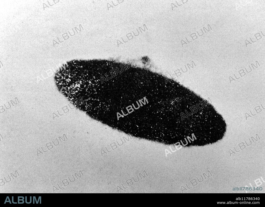 UFO photographed by Paul Trent at McMinnville, Oragon, USA, 11th May 1950. - ©TopFoto / Fortean.