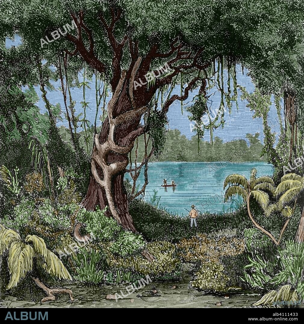 América del Sur. Perú. Nauta. Amazonia del Perú. Vista del Lago de la Palta, en Nauta. Dibujo por Manuel Nao. Grabado por Francisco Laporta (1850-1914). La Ilustración Española y Americana, 15 de julio de 1876. Coloreado.