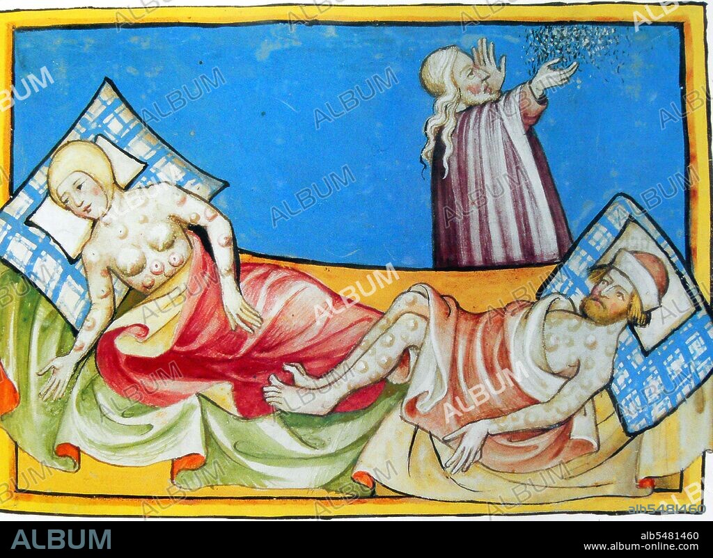 The disease represented is generally believed to be the plague. The location of bumps or blisters, however, is more consistent with smallpox (as the bubonic plague normally causes them only in the groin and in the armpits). This image is generally interpreted as a depiction of the Black Death. The Black Death was one of the most devastating pandemics in human history, peaking in Europe between 1348 and 1350. Of several competing theories, the dominant explanation for the Black Death is the plague theory, which attributes the outbreak to the bacterium Yersinia pestis. Thought to have started in China, it travelled along the Silk Road and reached the Crimea by 1346. From there, probably carried by Oriental rat fleas living on the black rats that were regular passengers on merchant ships, it spread throughout the Mediterranean and Europe. The Black Death is estimated to have killed 30–60 percent of Europe's population, reducing the world's population from an estimated 450 million to between 350 and 375 million in the 14th century. The aftermath of the plague created a series of religious, social and economic upheavals, which had profound effects on the course of European history. It took 150 years for Europe's population to recover. The plague returned at various times, killing more people, until it died out in Europe in the 19th century.