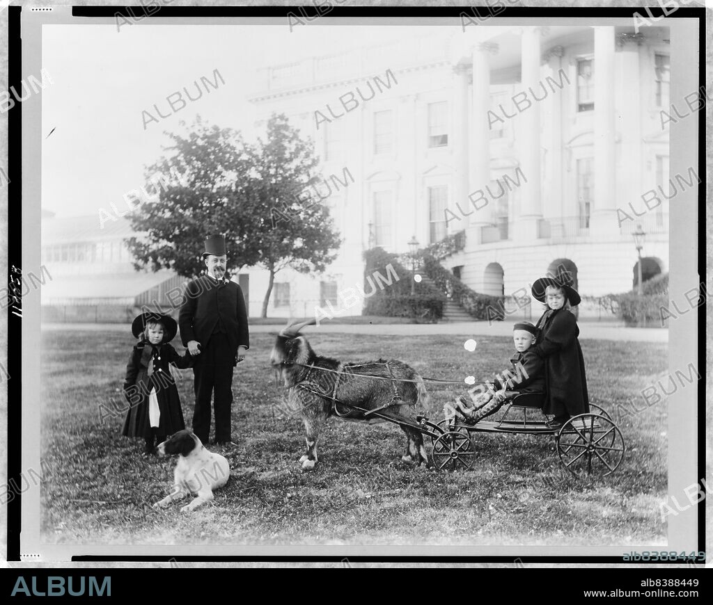 FRANCES BENJAMIN JOHNSTON. White House--Major Russell Harrison and Harrison children--Baby McKee and sister on goat cart, between 1889 and 1893. President Benjamin Harrison's son, Russell Harrison with his daughter, niece, nephew, dog, and Old Whiskers the goal.