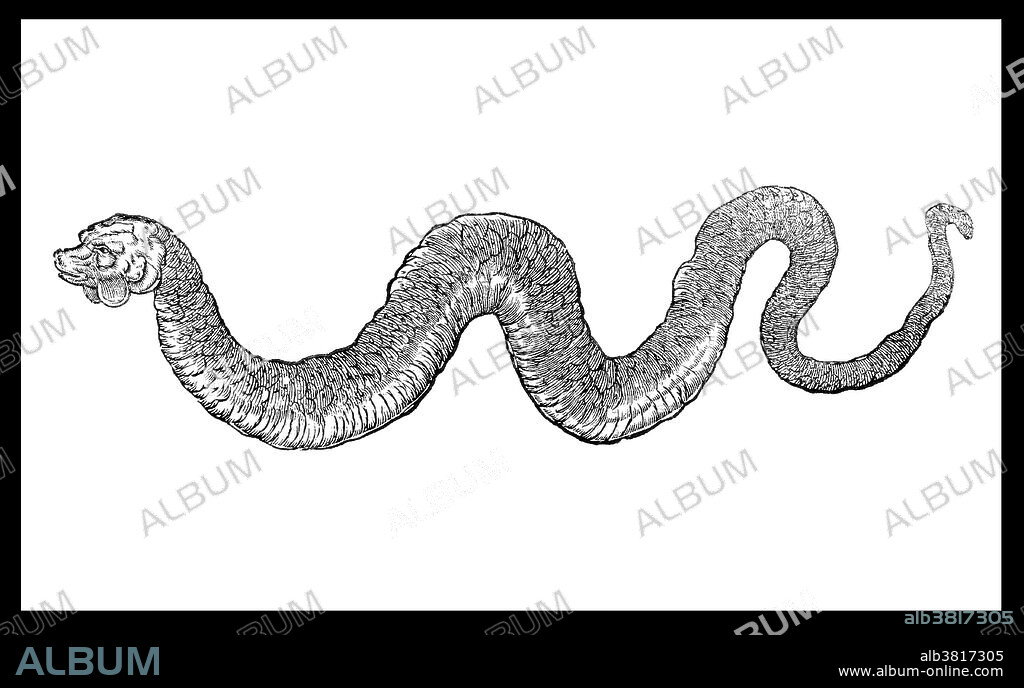 Sea Serpent, Legendary Monster