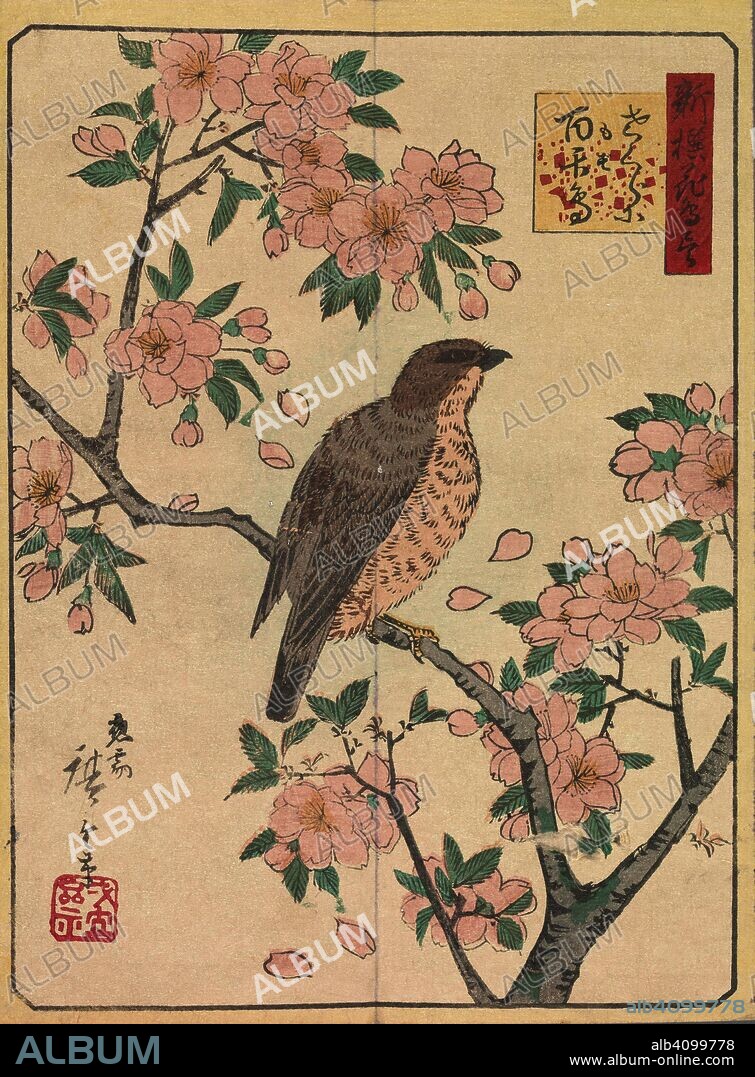 大好き HIROSHIGE UTAGAWA III. the from Shrike, and Blossoms Cherry 医学一般