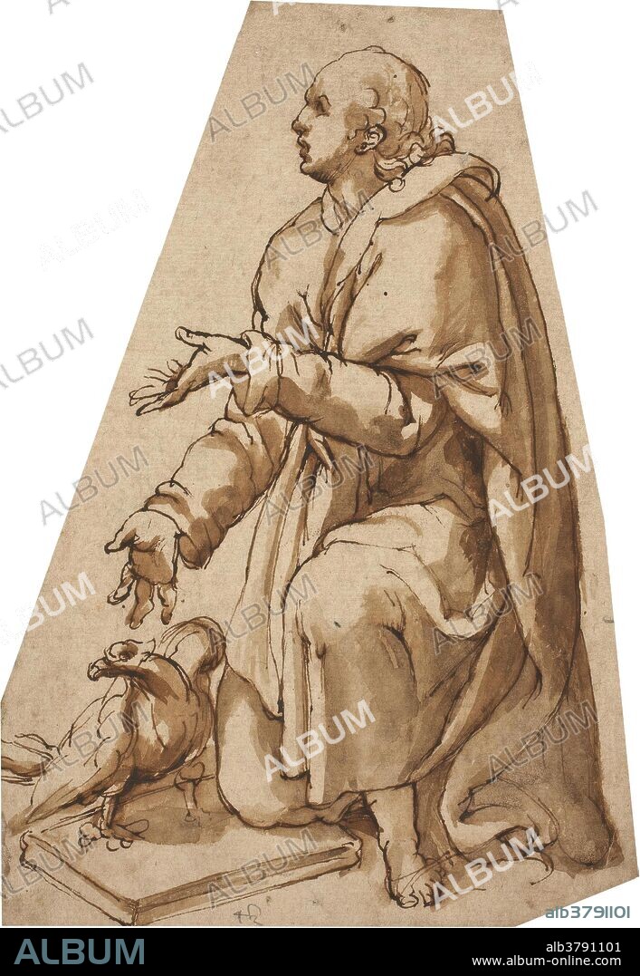 Filippo Bellini (Atribuido a) / 'San Juan Evangelista'. Segunda mitad del siglo XVI. Aguada, Pluma, Preparado a lápiz, Tinta parda sobre papel amarillento, 194 x 134 mm.