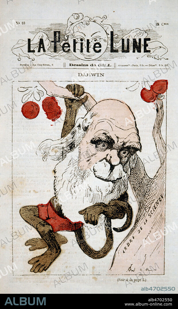 Charles DARWIN (1809-1882) en caricature dans La Petite Lune par Gill en 1878. Credit: Collection Kharbine-Tapabor.