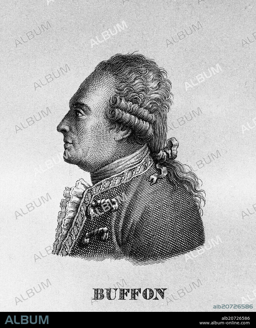 B PLANELLA (GRABADOR). GEORG LOUIS LECLERC-CONDE DE BUFFON (1707-1788) AUTOR DE "HISTORIA NATURAL".