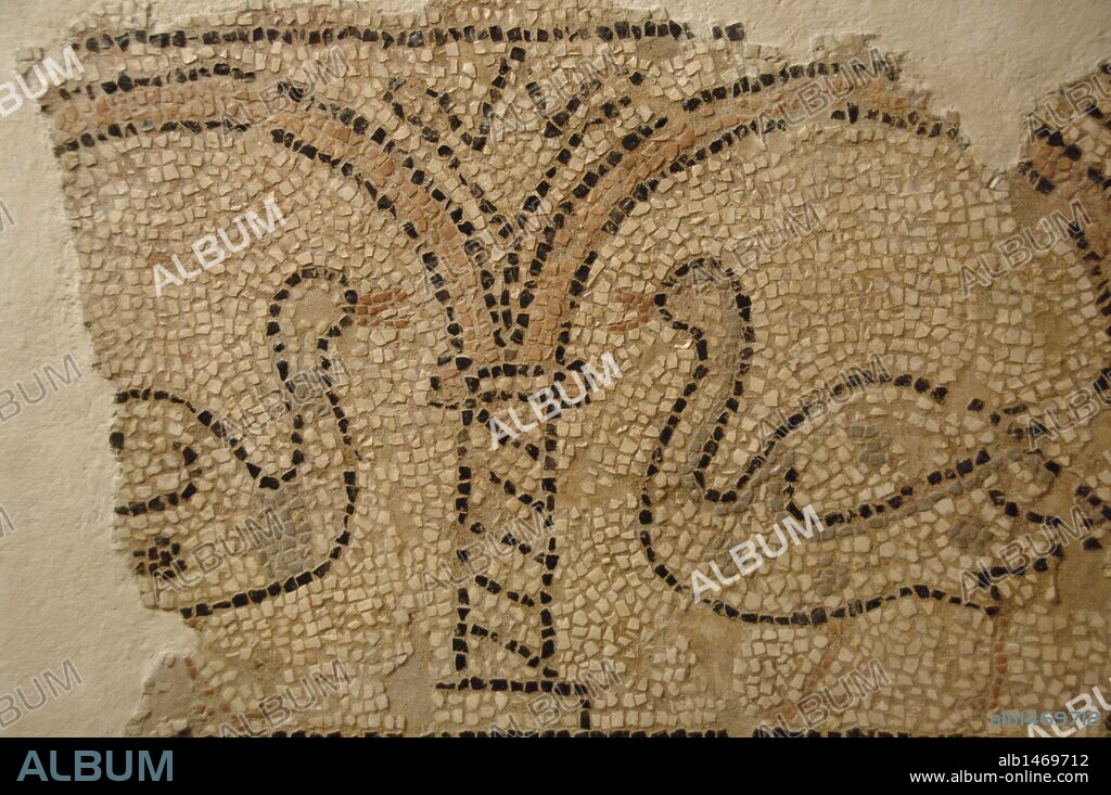 ARTE PALEOCRISTIANO. GRECIA. Fragmento de un MOSAICO. Fechado entre los siglos V y VI. Procede de la basílica paleocristiana de Paleópolis mandada construir por el Obispo JOVIAN. Museo de la Fortaleza Vieja. Corfú. Isla de Corfú. Islas Jónicas.