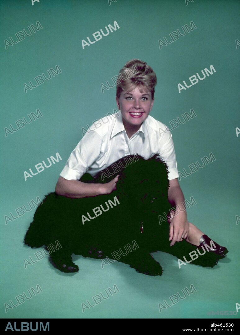 DORIS DAY in PLEASE DON'T EAT THE DAISIES, 1960, directed by CHARLES WALTERS. Copyright M.G.M.