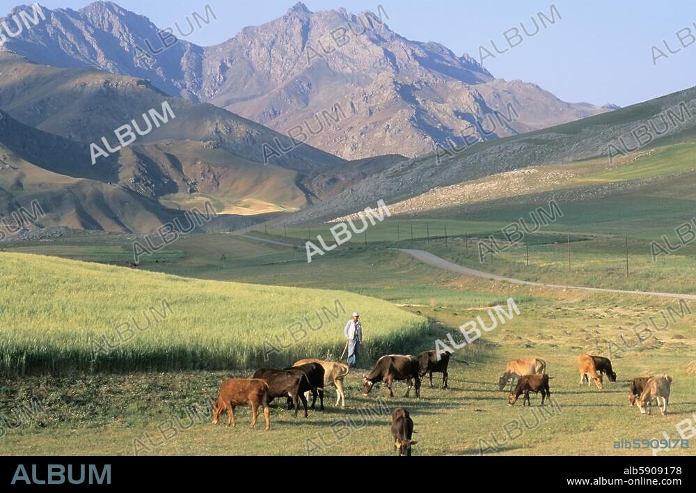 Turquie / Anatolie. Paysage de l'Est de l'Anatolie près de Van (prov. Van).