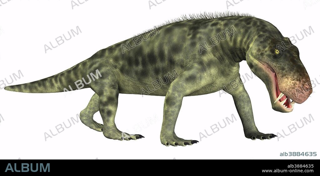 Inostrancevia is a carnivorous reptile that lived during the Permian age of Russia.