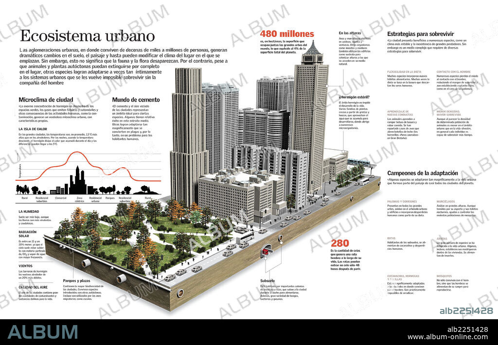 The urban ecosystem. Infographic of the urban ecosystem, its effect on the environment and the adaptations necessary for the survival of animal species.