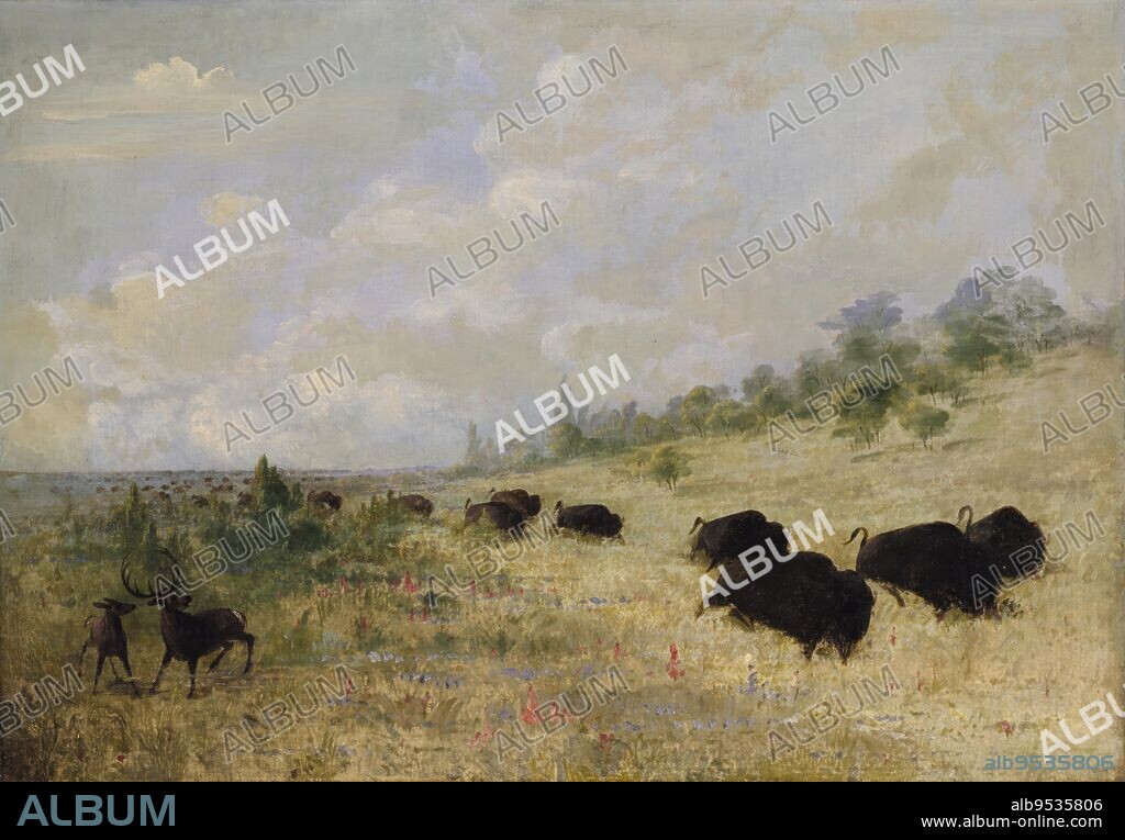 buffalo texas oil