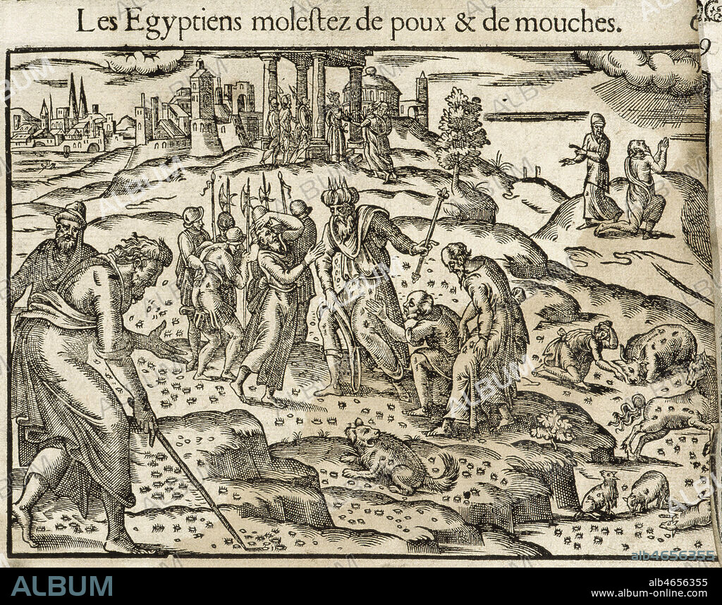 'Les egyptiens molestes de poux et de mouches'. Gravure tiree de l'ouvrage 'Figures historiques du Testament', par Guillaume le BE en 1651. Credit : Collection Vav/KHARBINE-TAPABOR.