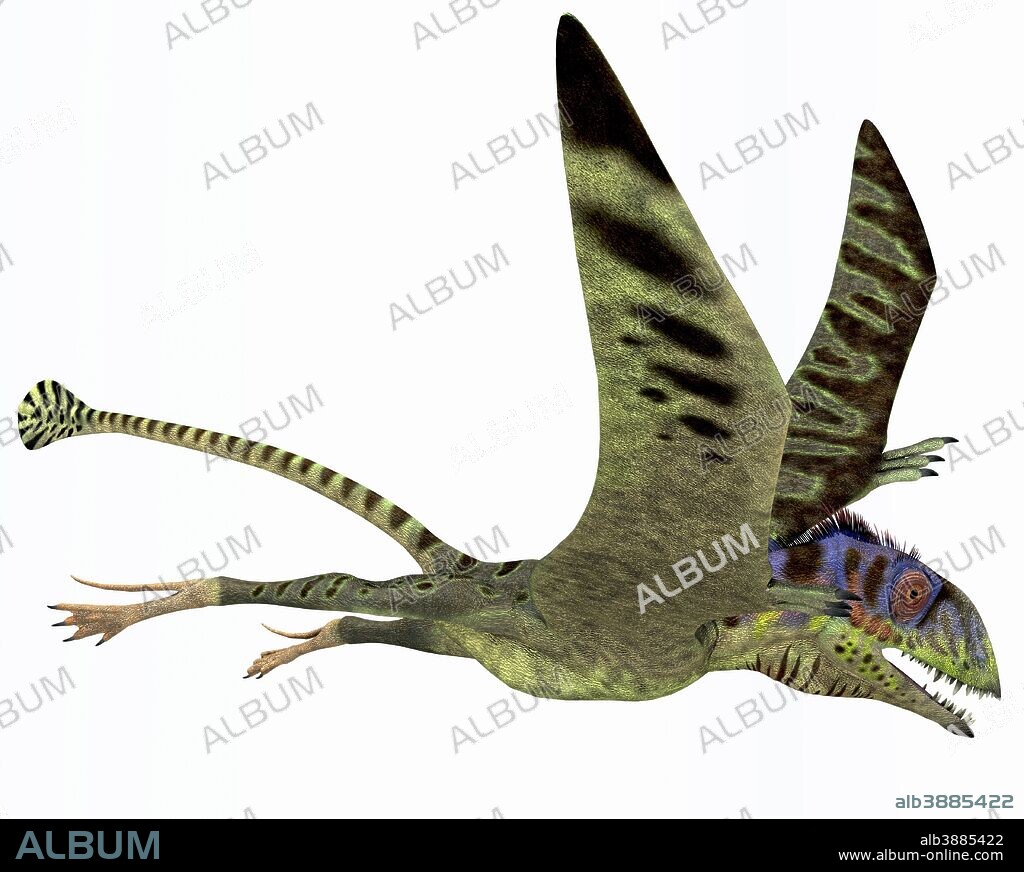 Peteinosaurus was a small carnivorous pterosaur from the Triassic Period and was found near Cene, Italy.