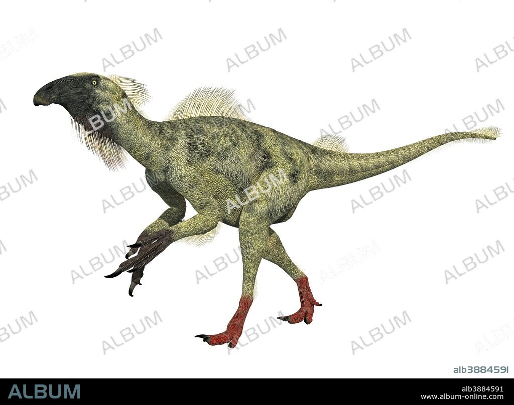 Beipiaosaurus feathered walking dinosaur. Beipiaosaurus was the first larger dinosaur to be discovered with feathers. A plant eater found in China from 120 million years ago and is about the size of a man.