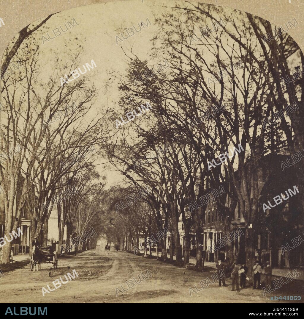 Chestnut Street. Boston, Mass., G.K. Proctor (American, died 1882, active 1860s), about 1870, Albumen silver print.