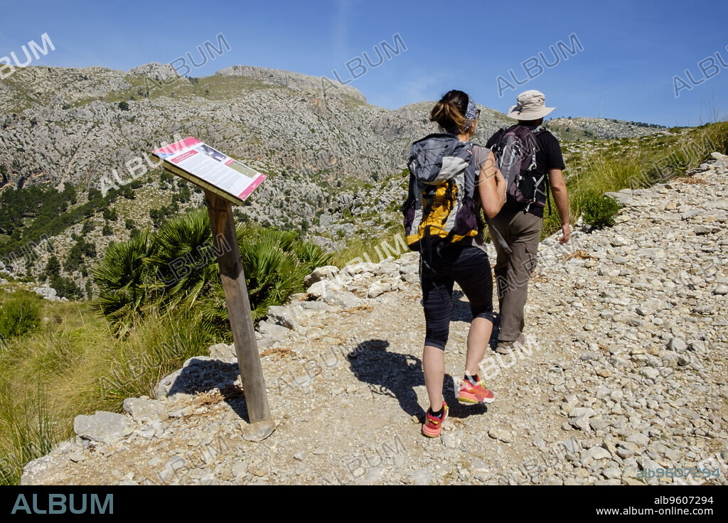 itinerario de Ses Planes, Finca Pública Galatzó, Calvia, Mallorca, balearic islands, spain, europe.