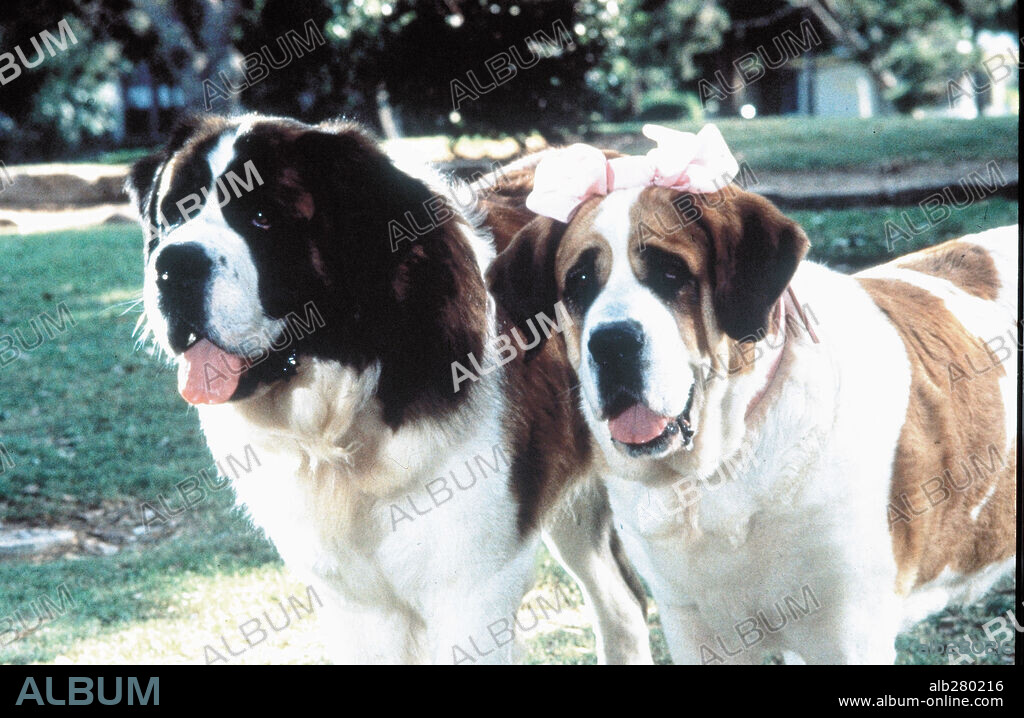 BEETHOVEN 2: LA FAMILIA CRECE, 1993 (BEETHOVEN'S 2ND). Copyright UNIVERSAL PICTURES.