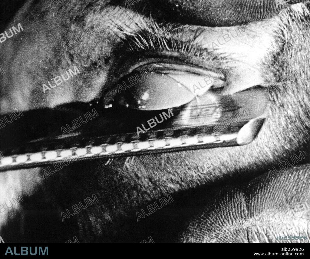 UN CHIEN ANDALOU, 1929, réalisé par LUIS BUÑUEL. Copyright BUNUEL-DALI.