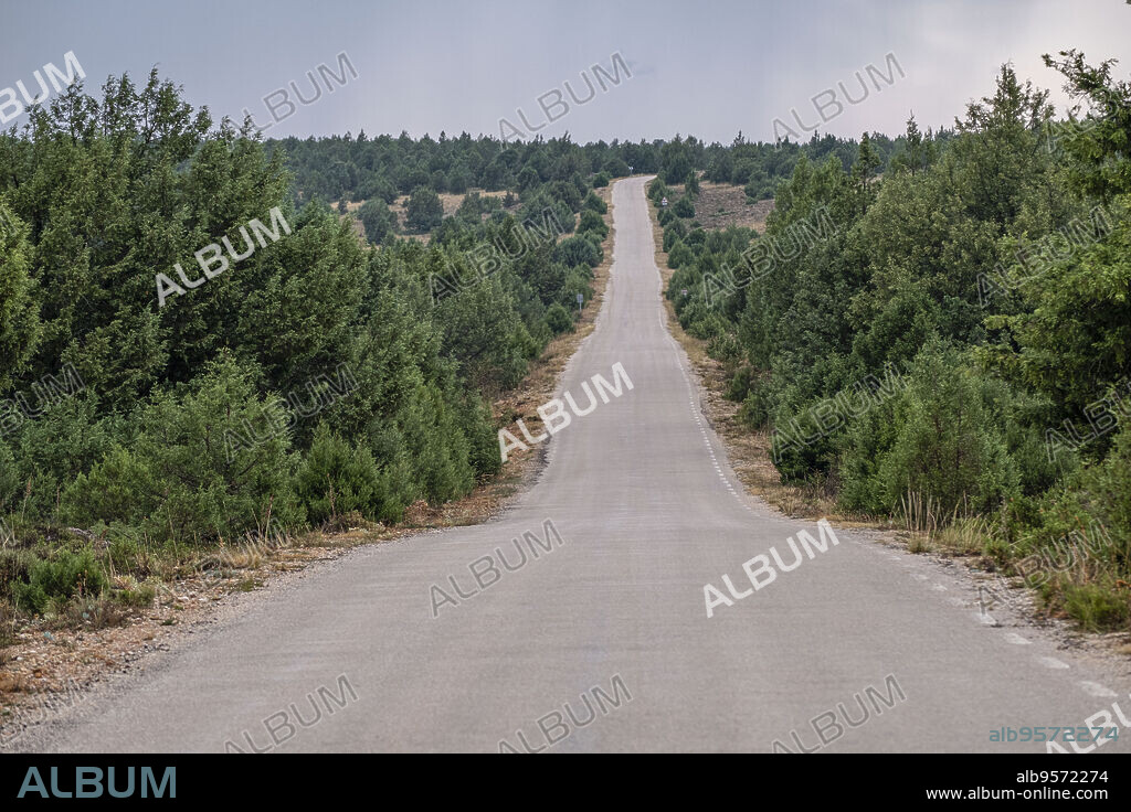 Sierra Solorio, Soria, comunidad autónoma de Castilla y León, Spain, Europe.