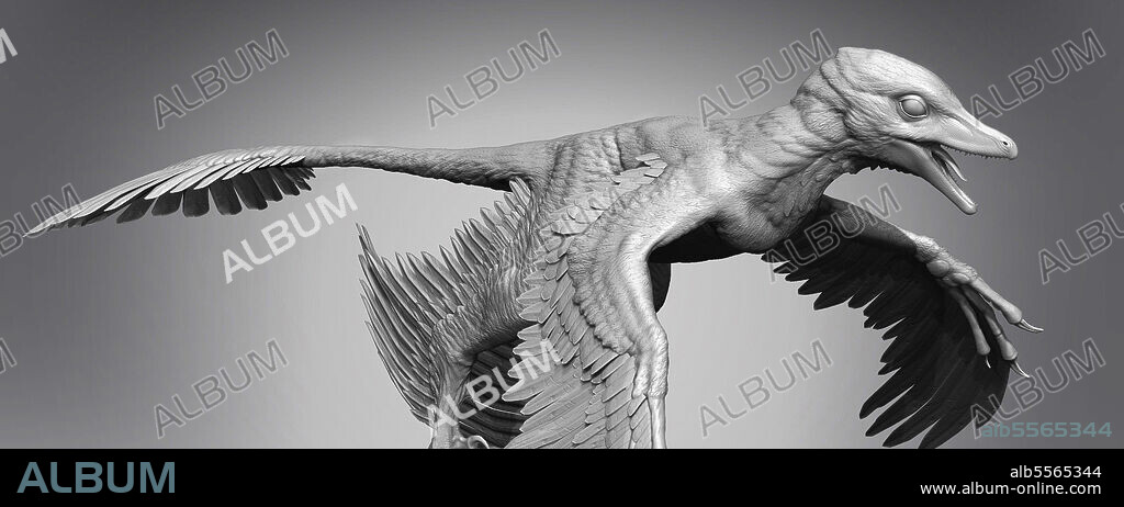 Microraptor dinosaur on gray background.
