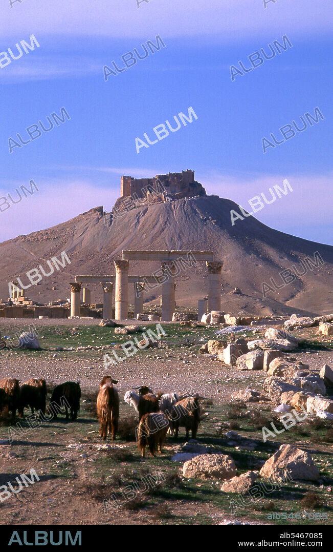 The Arab castle, Qala’at Ibn Maan (also known as Fakhr-al-Din al-Maani), situated on a hill overlooking the ruins was orignally constructed by the Mamluks in the 13th century. Palmyra was an ancient city in Syria. It was an important city in central Syria, located in an oasis 215 km northeast of Damascus and 180 km southwest of the Euphrates at Deir ez-Zor. It had long been a vital caravan city for travellers crossing the Syrian desert and was known as the Bride of the Desert. The earliest documented reference to the city by its Semitic name Tadmor, Tadmur or Tudmur (which means 'the town that repels' in Amorite and 'the indomitable town' in Aramaic) is recorded in Babylonian tablets found in Mari.