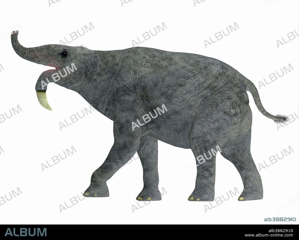 Deinotherium mammal, side view. Deinotherium was an enormous land mammal that lived in Asia, Africa and Europe during the Miocene to Pleistocene Periods.