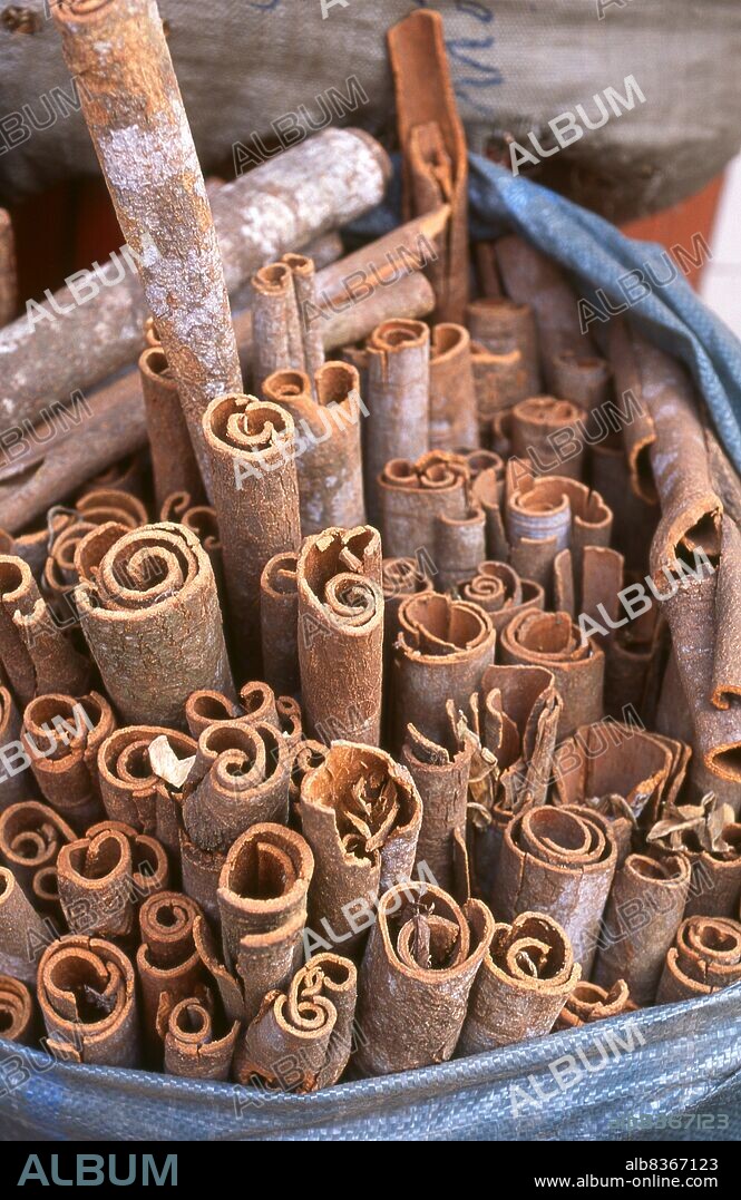 Cinnamon is the name for perhaps a dozen species of trees and the commercial spice products that some of them produce. All are members of the genus Cinnamomum in the family Lauraceae. Only a few of them are grown commercially for spice. In Sri Lanka, the major production region, only <i>Cinnamomum verum</i> (synonym <i>Cinnamomum zeylanicum</i>) is cultivated.<br/><br/>. Ch Ln is a Chinese-influenced section of Ho Chi Minh City (former Saigon). It lies on the west bank of the Saigon River, having Bình Tây Market as its central market. Cholon consists of the western half of District 5 as well as several adjoining neighborhoods in District 6.
