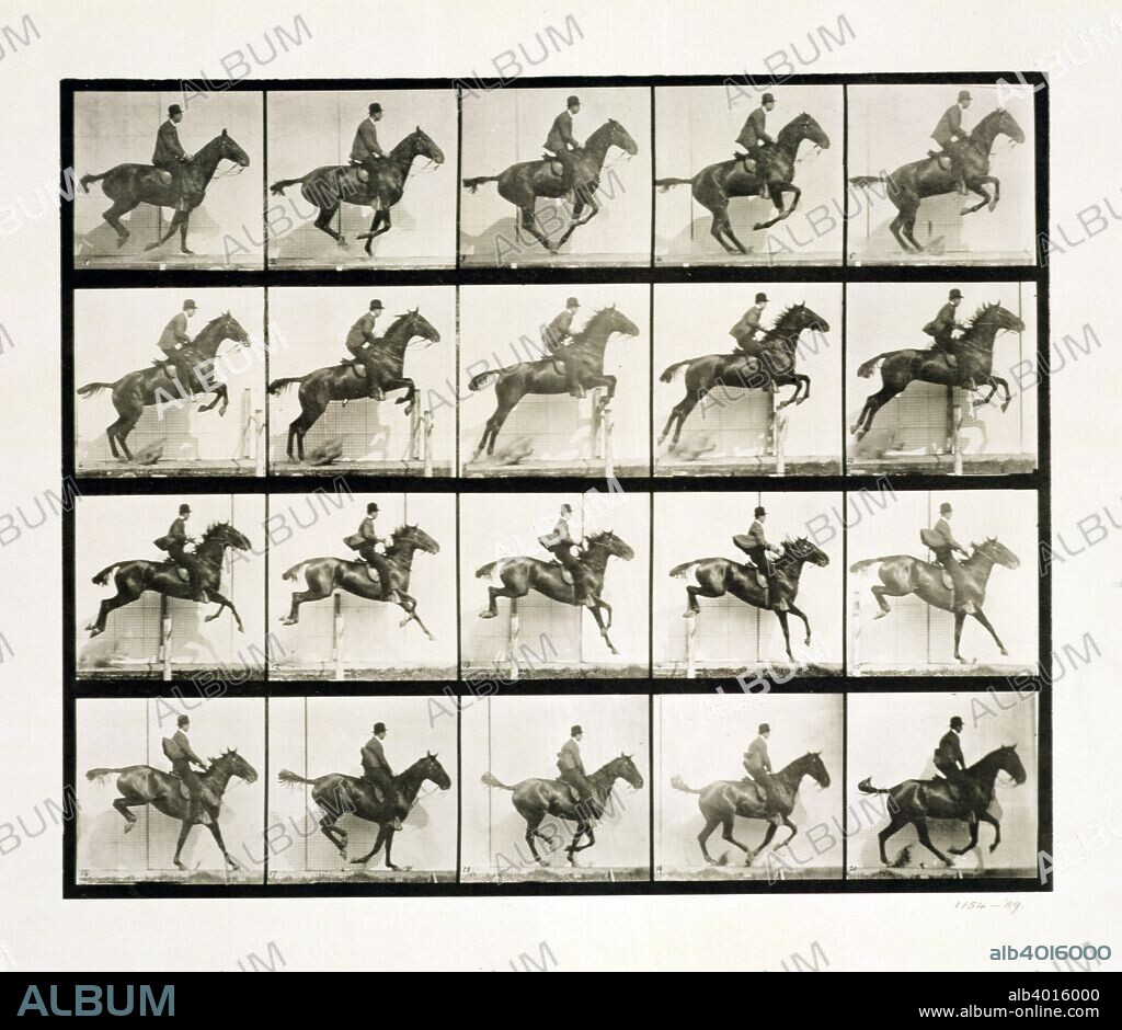 Man and horse jumping a fence, 1887. Eadweard J Muybridge was the first photographer to carry out the analysis of movement by sequence photography, an important stage in the invention of cinematography. Plate 640 from Animal Locomotion, by Eadweard Muybridge (1830-1904).