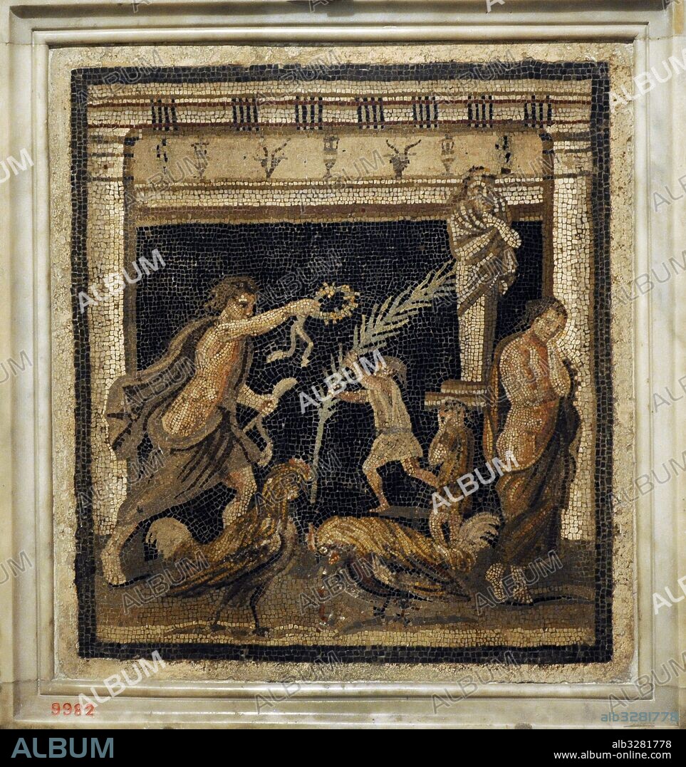 Mosaico romano. Pelea de gallos entre las personificaciones de la victoria y la derrota. Mosaico de Pompeya (Casa del Laberinto, VI 11, 10, cubicolo). Colección de los mosaicos. Museo Arqueológico Nacional. Nápoles. Italia.