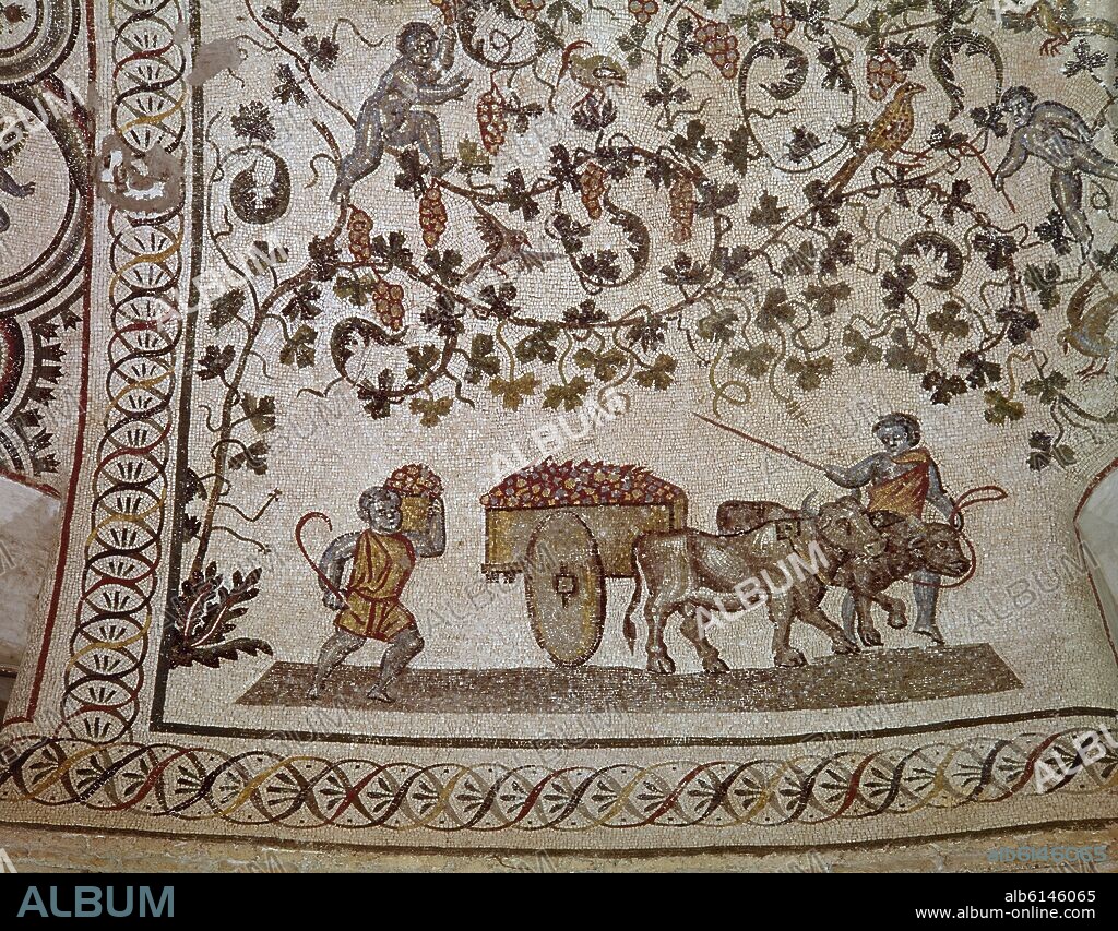 ESCENA DE VENDIMIA - AMORCILLO TRANSPORTANDO UVA - MOSAICO DEL SIGLO IV.