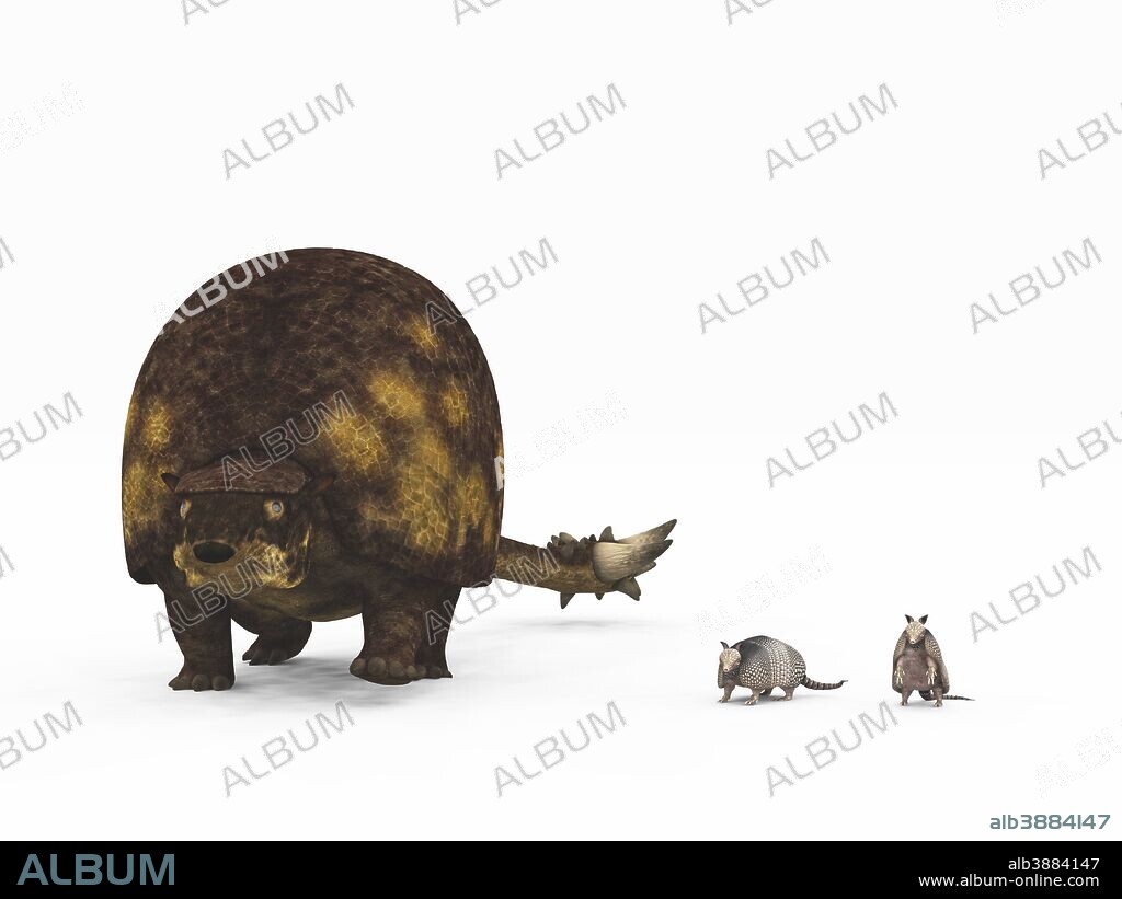 A glyptodont of the genus Doedicurus from 25,000 years ago is compared to modern armadillos (Dasypus novemcinctus). Doedicurus is five feet tall, weighs about 2,200 pounds, while the armadillos (in this image nine-banded armadillos) are about 20 inches long and each weighing about ten pounds. Values are estimates only based upon available paleontological data.