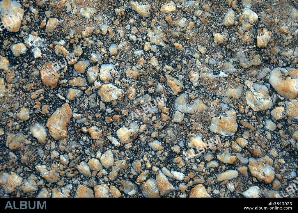 Quartz conglomerate rock from northwestern New Jersey.