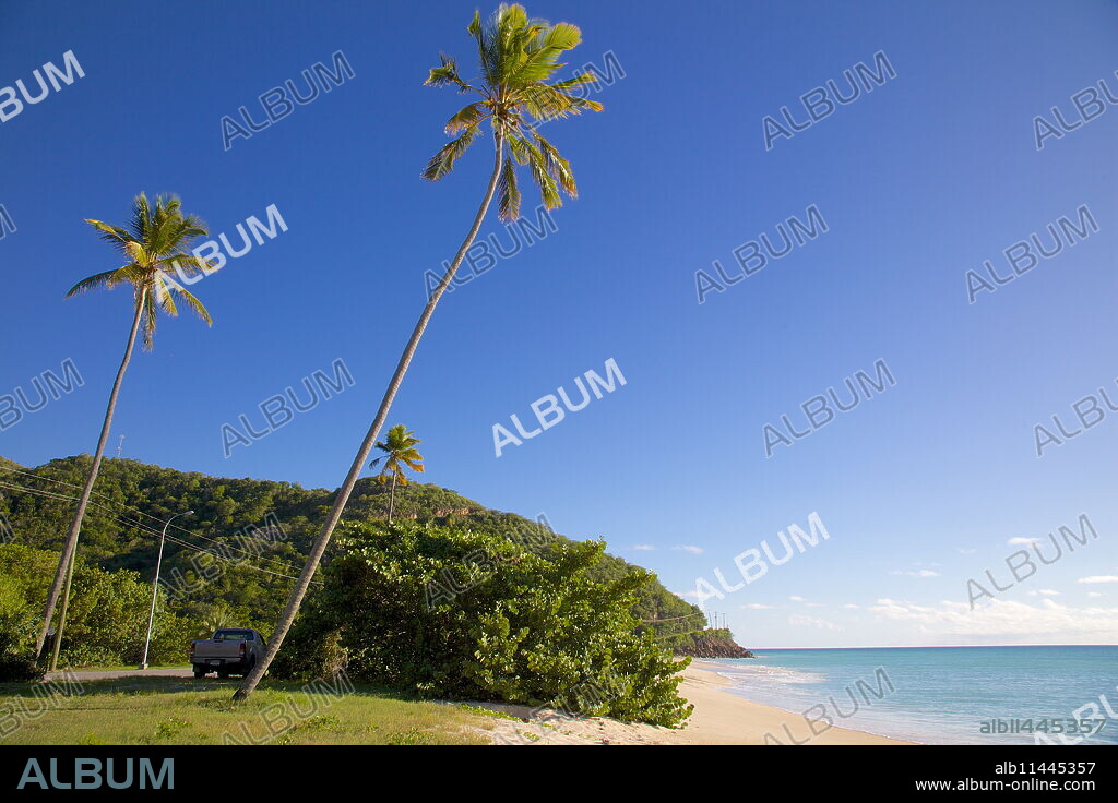Darkwood Beach, St. Johns, Antigua, Leeward Islands, West Indies, Caribbean, Central America.