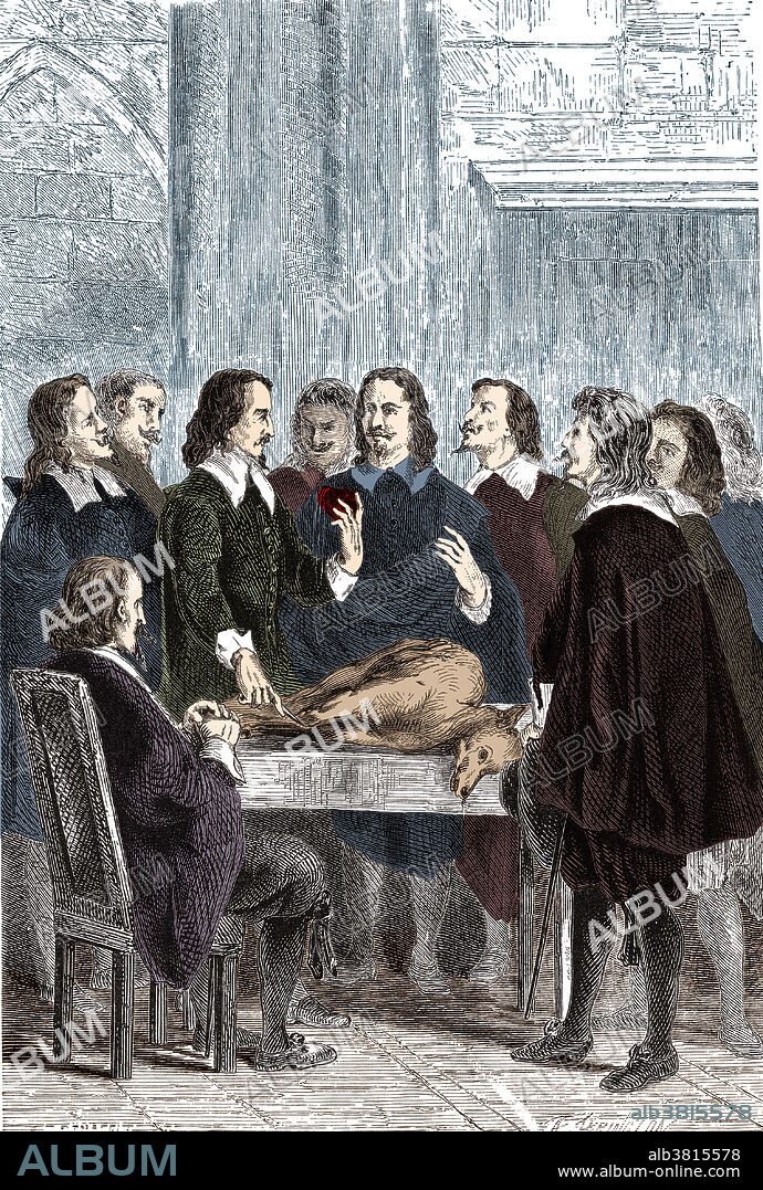 Colorized illustration of William Harvey dissecting an animal as he outlines his discovery of blood circulation to his colleagues of the Faculty of Medicine of London College. William Harvey (April 11, 1578 - June 3, 1657) was an English physician. Harvey was the first person to accurately determine how the heart circulated blood throughout human and animal bodies and was also the first to posit the theory that humans and other mammals reproduced when an egg was fertilized by sperm. His work De Motu Cordis (full title: Exercitatio Anatomica de Motu Cordis et Sanguinis in Animalibus, An Anatomical Exercise on the Motion of the Heart and Blood in Animals) remains a milestone in science.