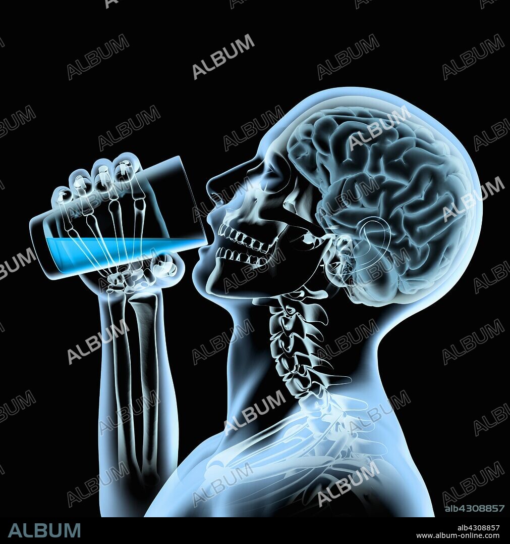 X-ray of man and brain drinking from glass.