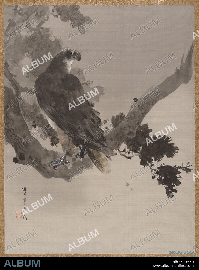 Eagle in a Tree. Artist: Watanabe Seitei (Japanese, 1851-1918). Culture: Japan. Dimensions: 14 x 10 3/4 in. (35.6 x 27.3 cm). Date: ca. 1887.
