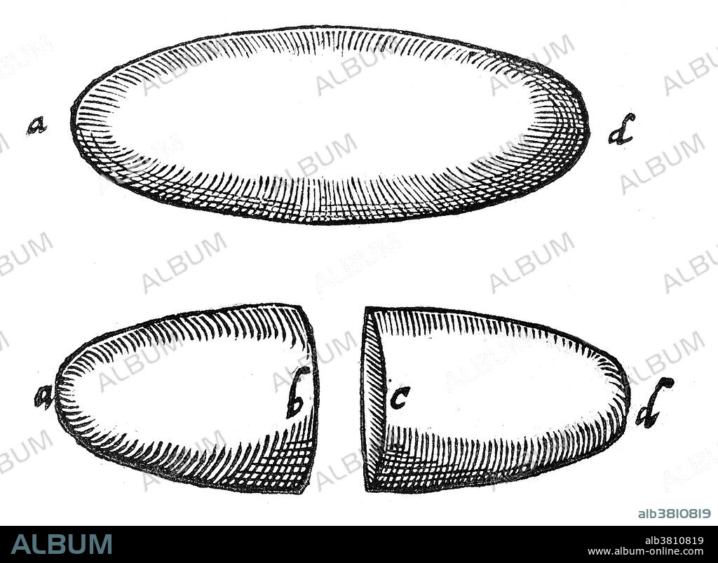 An illustration of magnetism from "De Magnete" by William Gilbert. William Gilbert (1544-1603) was an English physician, physicist and natural philosopher whose primary scientific work was De Magnete... (1600) (On the Magnet and Magnetic Bodies, and on the Great Magnet the Earth), and who is credited as one of the originators of the term "electricity." A unit of magnetomotive force, also known as magnetic potential, was named the Gilbert in his honor. In De Magnete, he describes many of his experiments with his model Earth called the terrella. From these experiments, he concluded that the Earth was itself magnetic and that this was the reason compasses point north (previously, some believed that it was the pole star (Polaris) or a large magnetic island on the north pole that attracted the compass). He was the first to argue, correctly, that the centre of the Earth was iron, and he considered an important and related property of magnets was that they can be cut, each forming a new magnet with north and south poles.