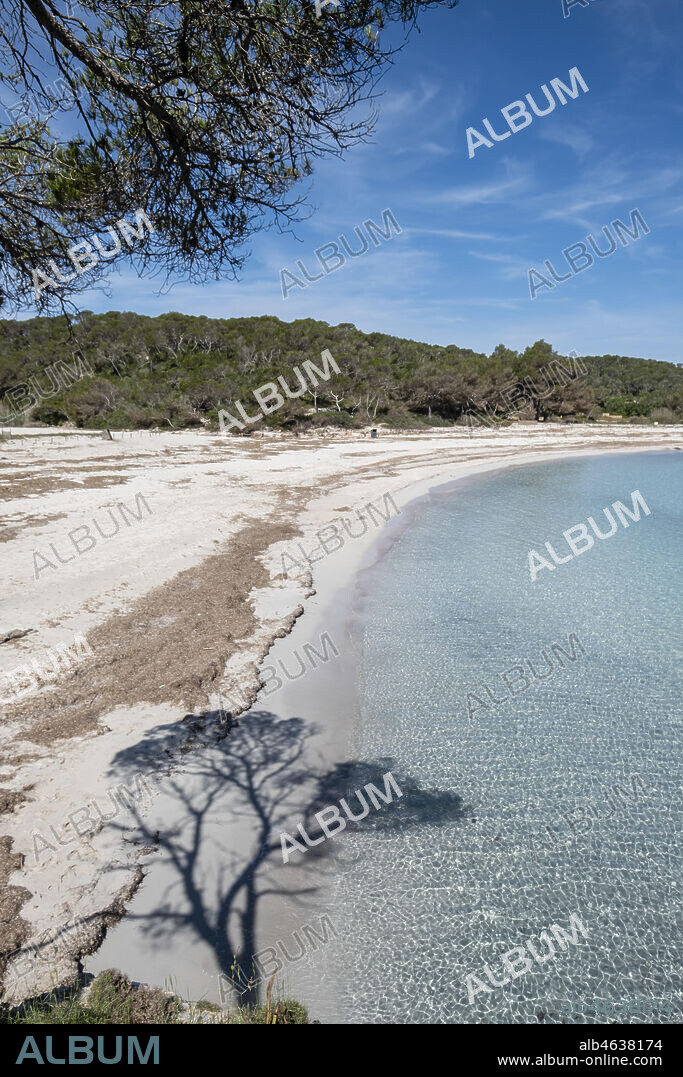 S'Amarador, Mondragó Natural Park, Santanyí municipal area, Mallorca, Balearic Islands, Spain.