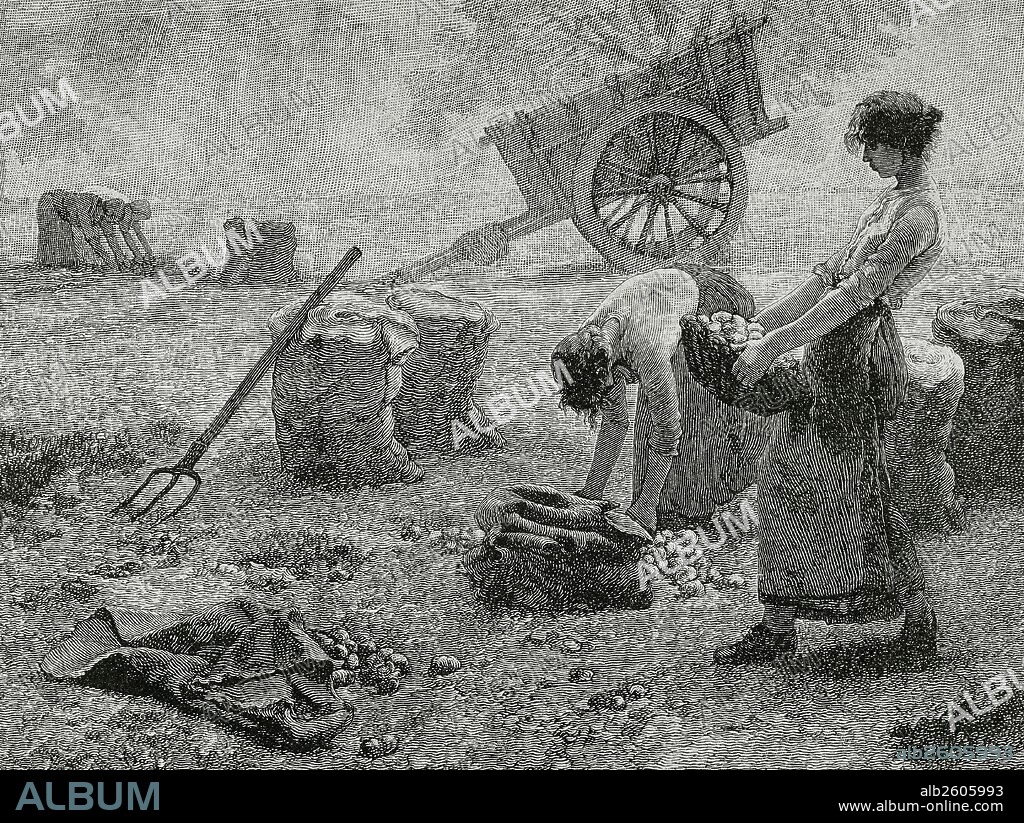 Grabado con la representación de unas mujeres realizando trabajos agrícolas. Francia, principios del siglo XIX.