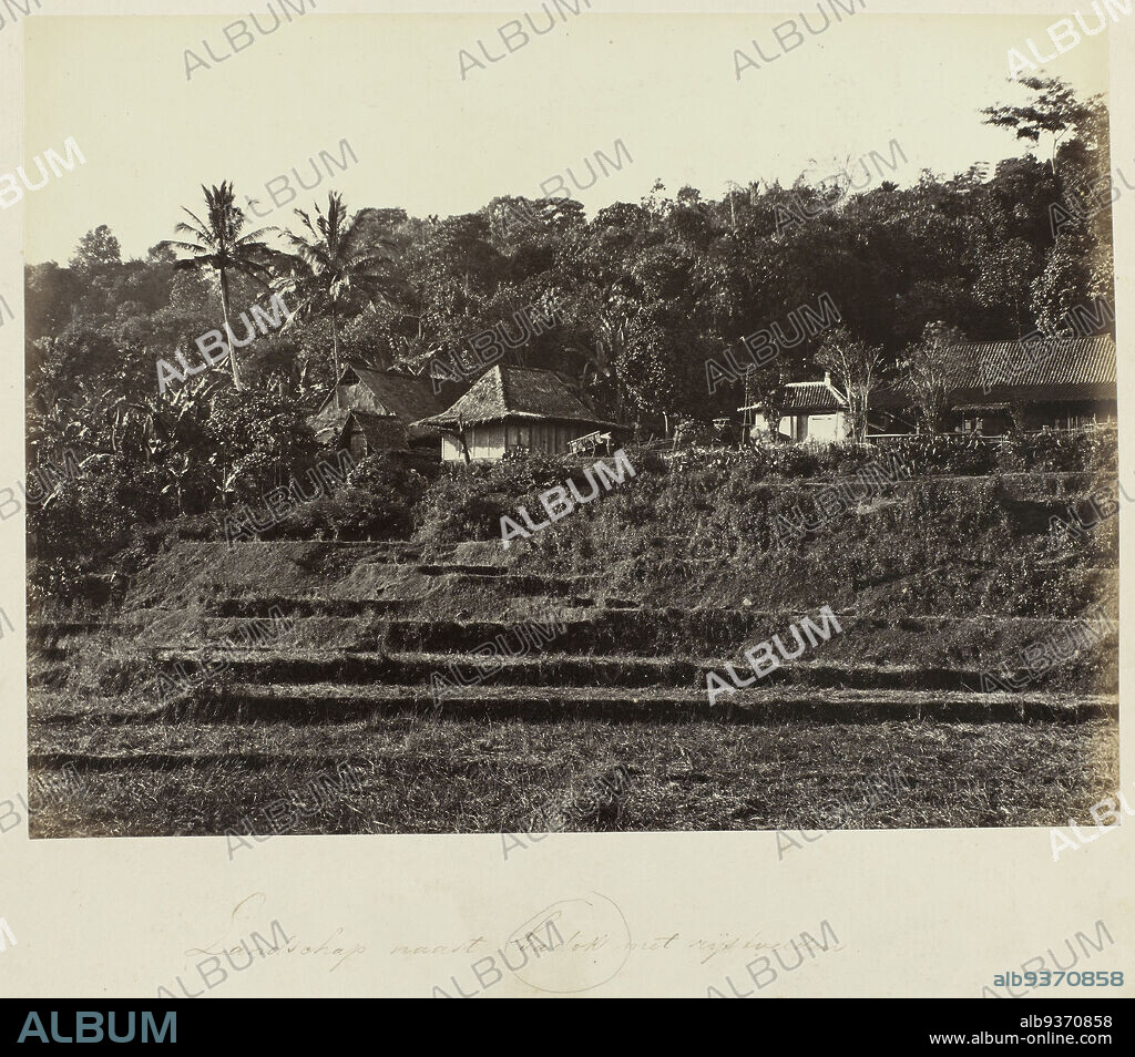 Landscape next to Gadok with rice fields (title on object), Sawa's near Gadog, in the vicinity of Buitenzorg. Part of the green photo album with photos of Java, in the possession of pharmacist Specht-Grijp, who returned from Batavia to the Netherlands in 1865., Woodbury & Page, Buitenzorg, 1863 - 1869, photographic support, albumen print, height 203 mm × width 271 mm.