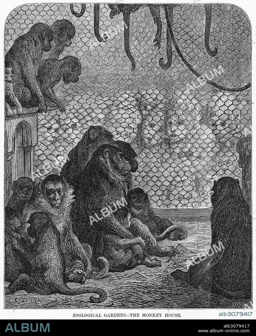 DORÉ: LONDON, 1872.'Zoological Gardens - The Monkey House.' Wood engraving after Gustave Doré, from the series 'London: A Pilgrimage,' 1872.