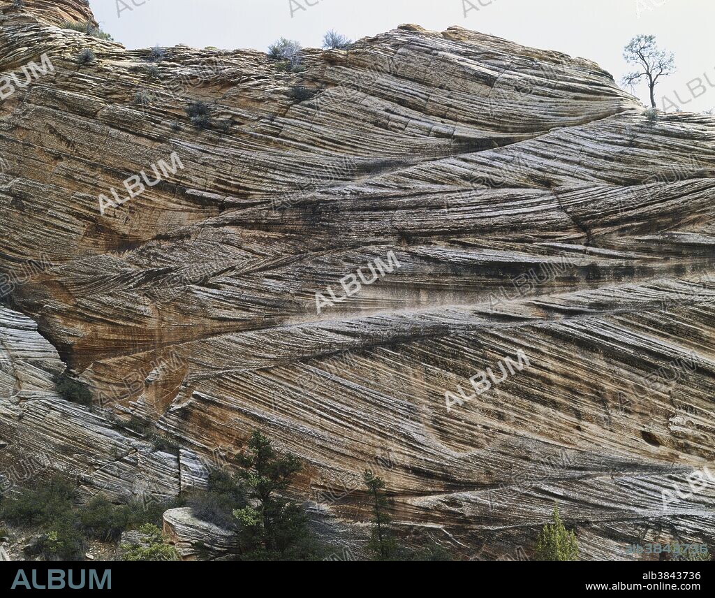 Cross-bedded Sandstone