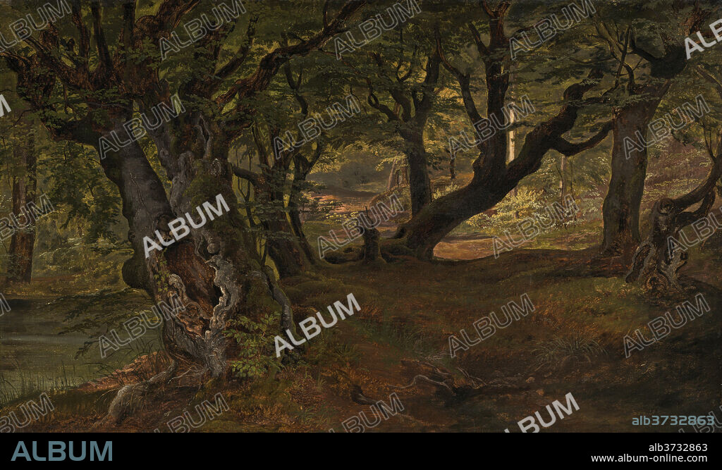 FREDERIK SøDRING. View of Bregentved Forest, Sjaeeland. Dated: mid 1830s. Dimensions: overall: 40.6 x 67 cm (16 x 26 3/8 in.)  framed: 52.71 × 78.11 × 4.76 cm (20 3/4 × 30 3/4 × 1 7/8 in.). Medium: oil on canvas.