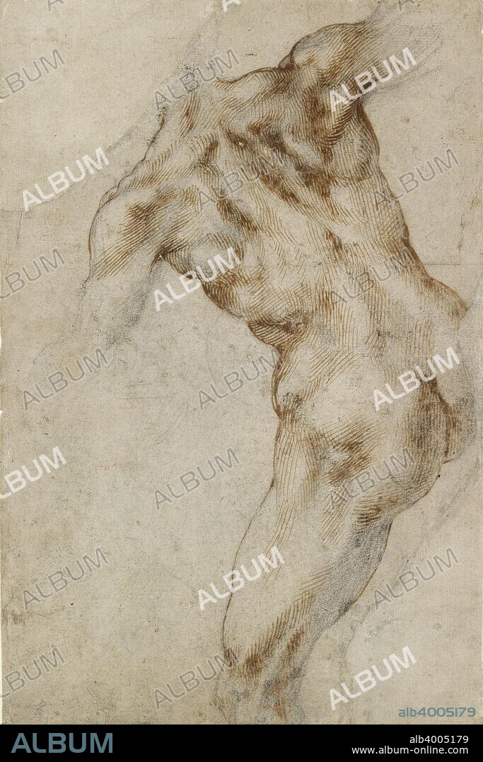 Nude male Torso, early 16th century.. Verso: Two male Nudes and a Horse. Dimensions: height x width: sheet 26.2 x 17.3 cm.